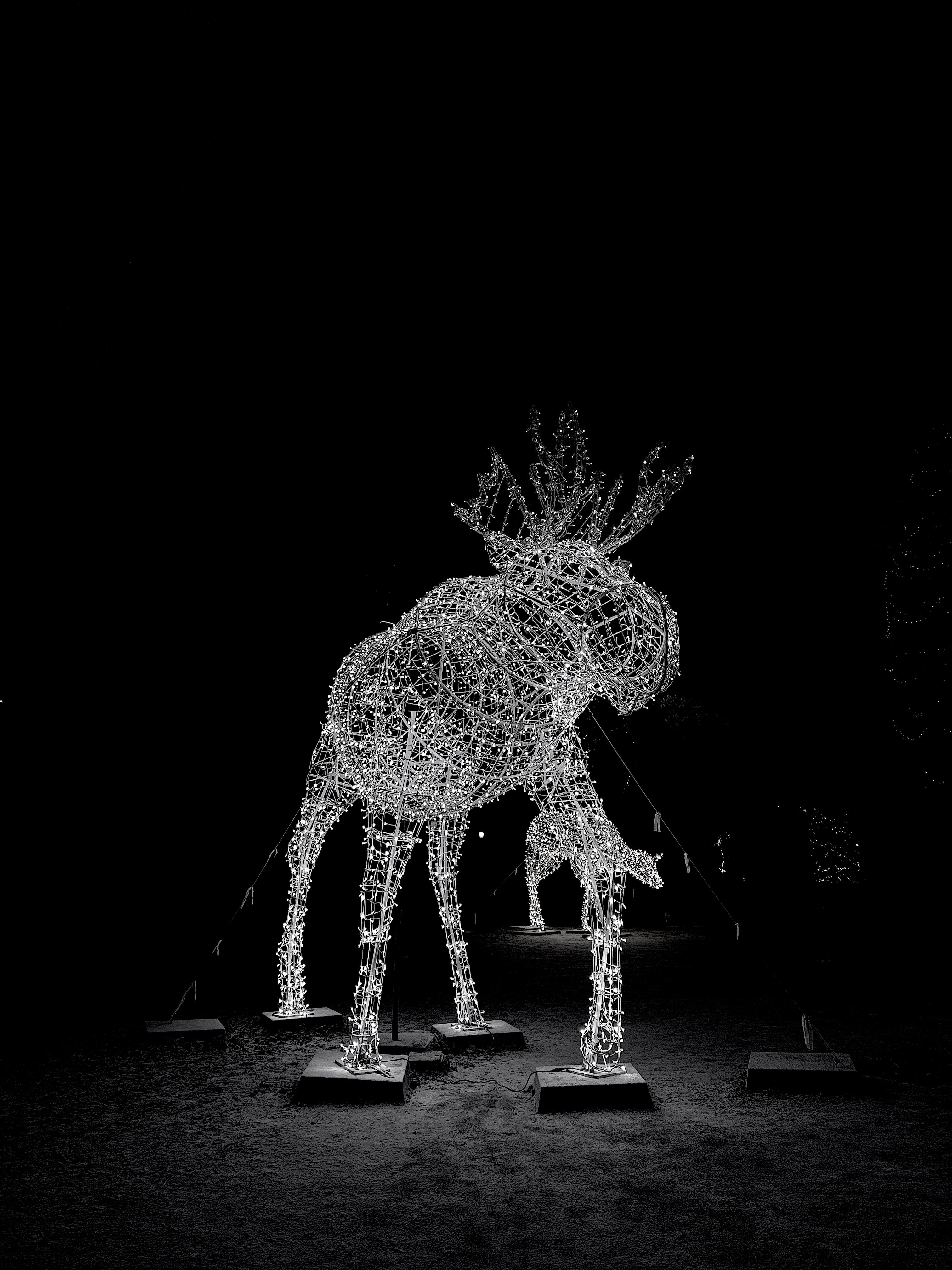 image shot in Black and White using Blark