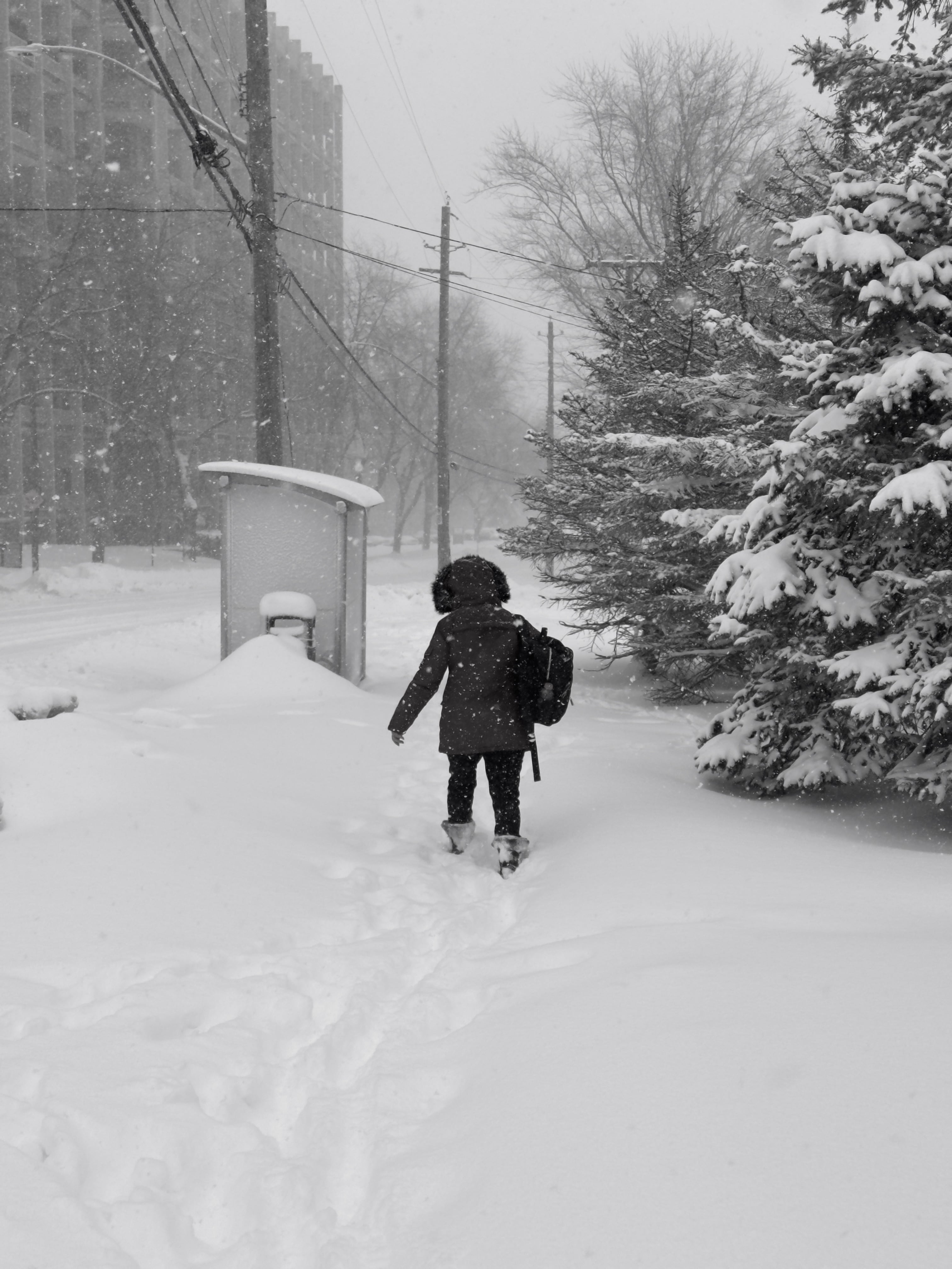 image shot in Black and White using Blark